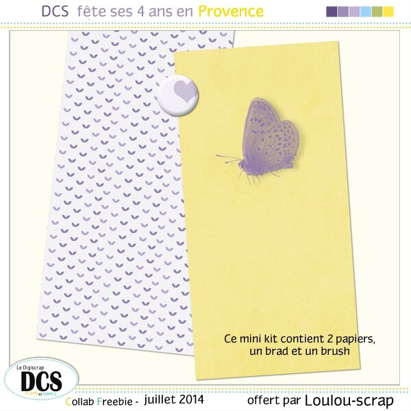 DCS fête ses 4 ans en Provence - juillet 2014 - Page 2 97256945