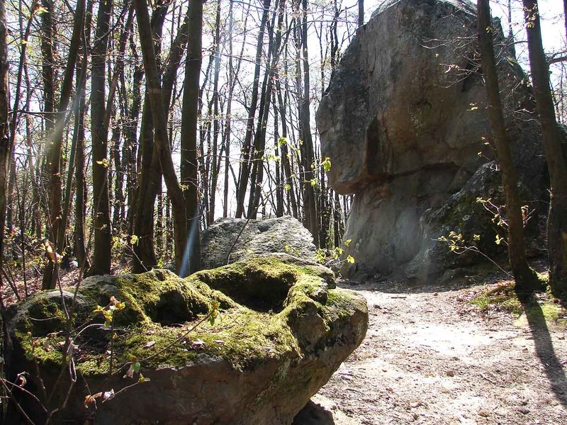 Les roches qui dansent - Saint-Barthélémy-de-Vals  75355572