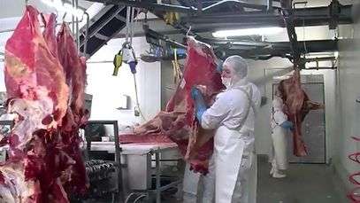 En 6 meses, en Nariño han incautado 3 toneladas de carne de caballo Cnt453739_h229_w407_aNoChange_hallan-carne-de-caballo-en-lasanas-tambien-en-alemania