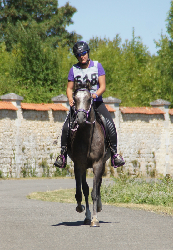 WARDEN DE FONTANELLE - 2012 111974236