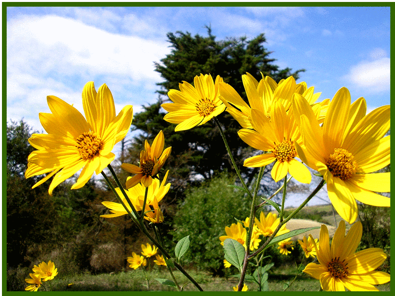 C'est le printemps ! - Page 2 19813062