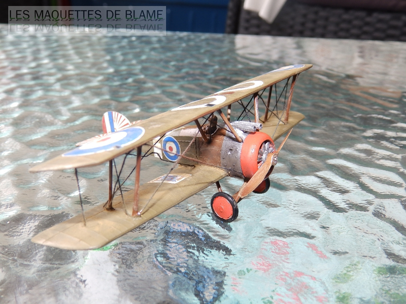 SOPWITH CAMEL F-1 N°3 NAVAL SQN, ROYAL NAVAL AIR SERVICE WALMER, DECEMBRE 1917 116938035