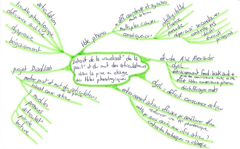 Intérêt de la visualisation de la position et du mouvement des articulateurs dans la prise en charge des troubles phonologiques 96452226