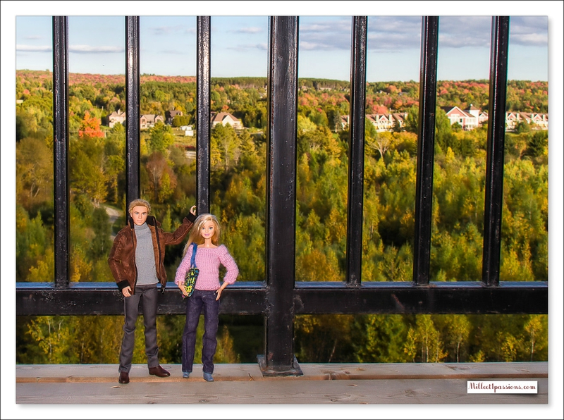 Candice et Colin dans les couleurs d'automne (Barbie et Ken)  màj 8/10 112821540