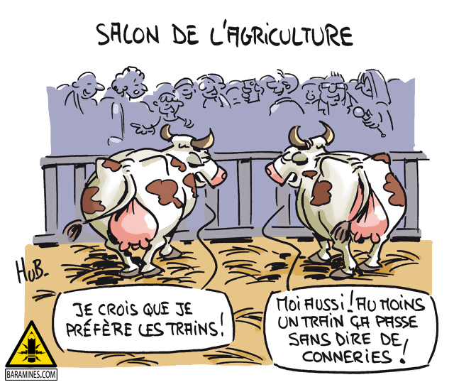  les vaches ! 109347279