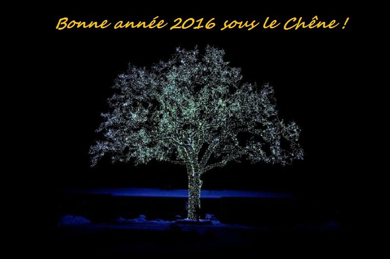 Bonne année 2016 !! 108324538_o