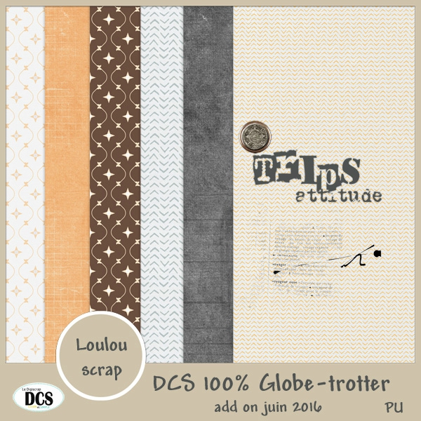 DCS 100% globe-trotter - Page 3 111107040