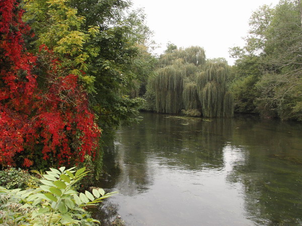 A la recherche des couleurs de l'automne 20051006%20037