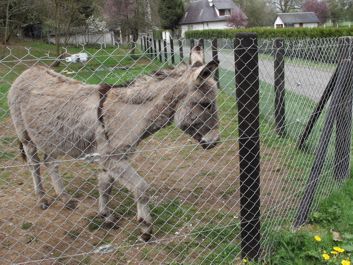 Interrompu par la pluie 20060423_114