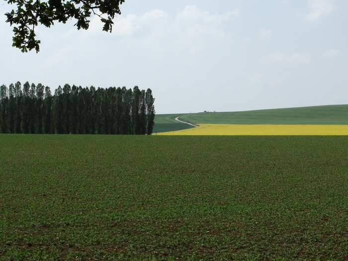 Les coteaux de Fourges 20060511_036