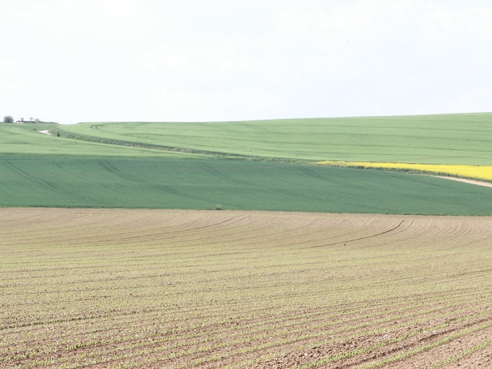 Les coteaux de Fourges 20060511_060