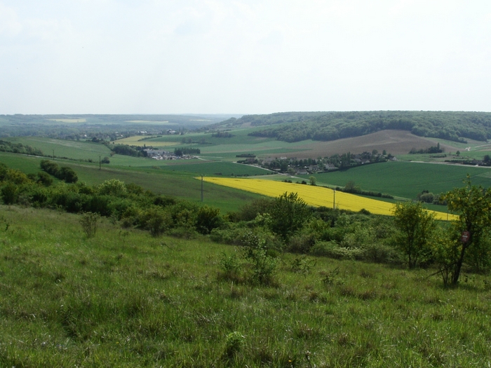 Les coteaux de Fourges 20060511_076