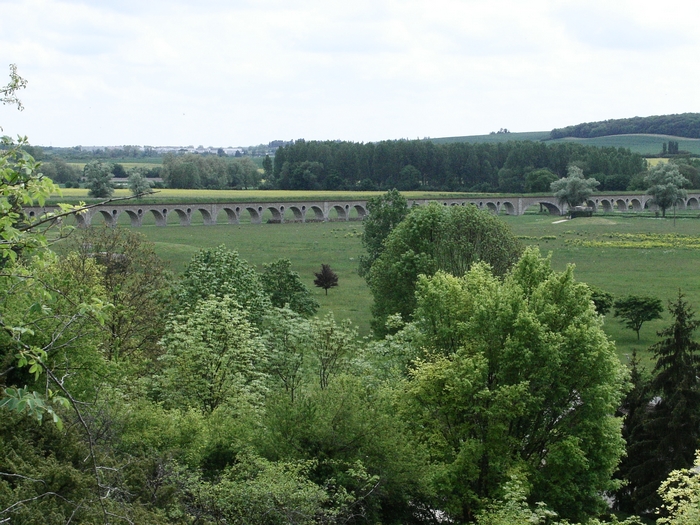 En forêt de Dreux 20060514_009