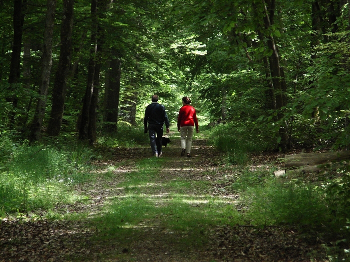 En forêt de Dreux 20060514_030