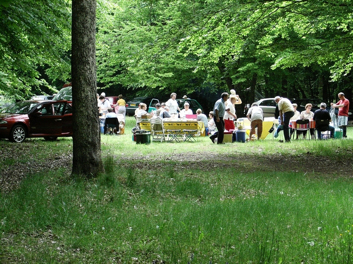 En forêt de Dreux 20060514_036