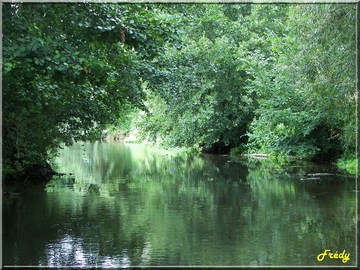 La Gaudrée, 4ème fois 20060819_026