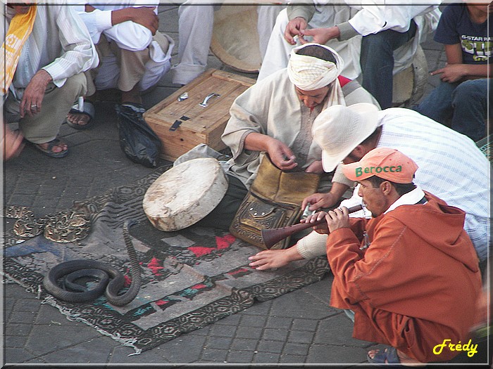 Maroc 6ème jour : Marrakech 20061022_105