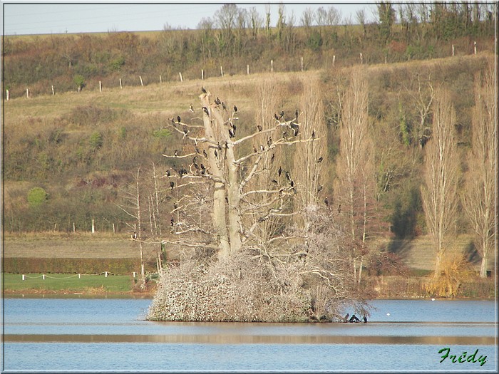 Impressions du bord de l'eau 20061129_025