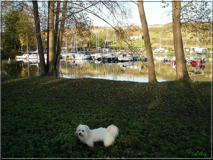 Impressions du bord de l'eau 20061129_046