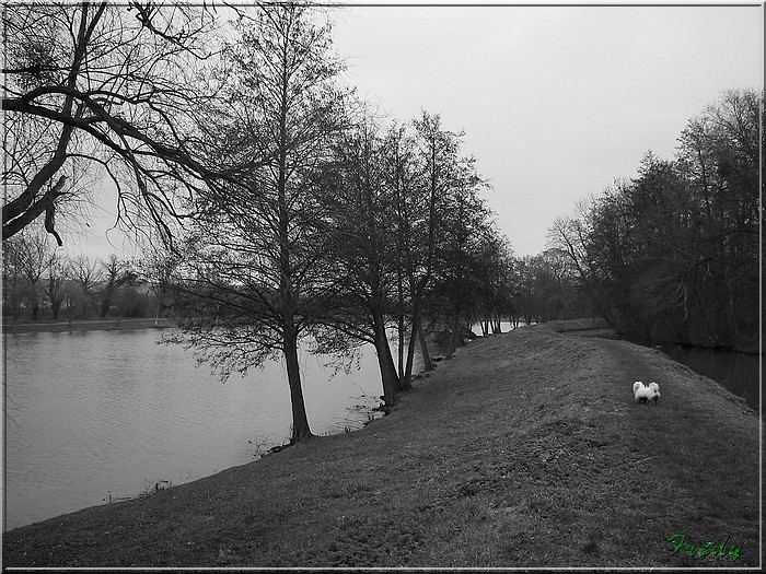 Croth, en noir et blanc 20070106_031