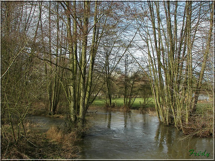 Courte balade près de Gouville 20070216_006