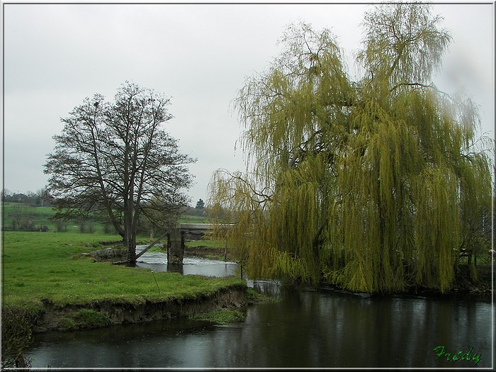 Champignolles, sous la pluie. 20070331_067