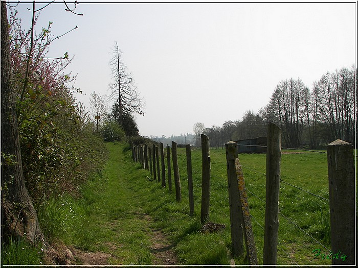 1er jour d'été, La Gaudrée 20070414_018