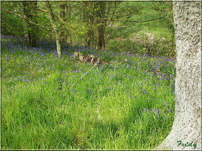 1er jour d'été, La Gaudrée 20070414_039