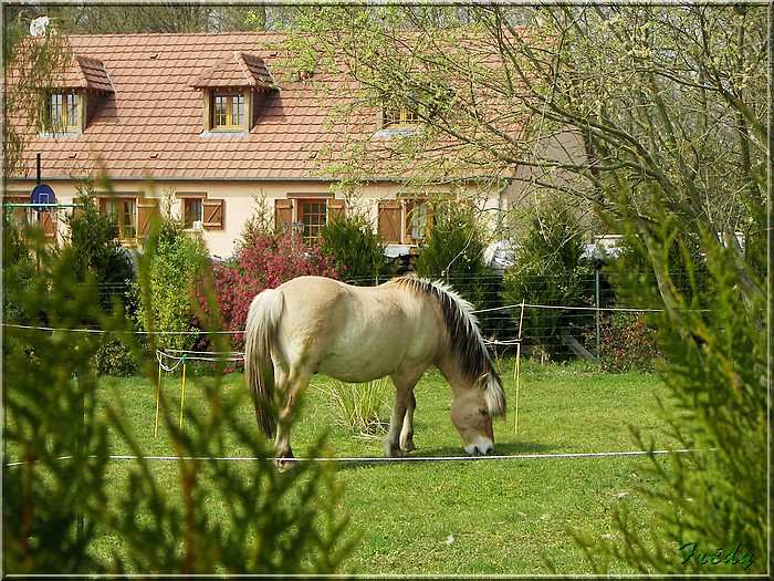 1er jour d'été, La Gaudrée 20070414_074