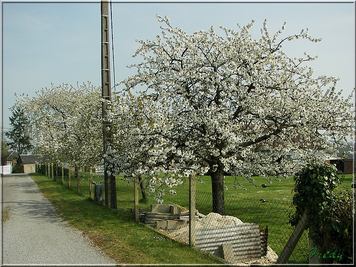 1er jour d'été, La Gaudrée 20070414_075