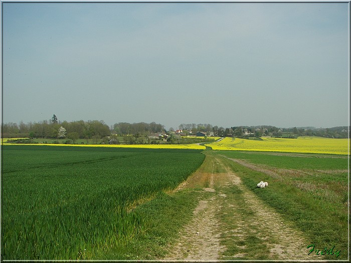 1er jour d'été, La Gaudrée 20070414_078