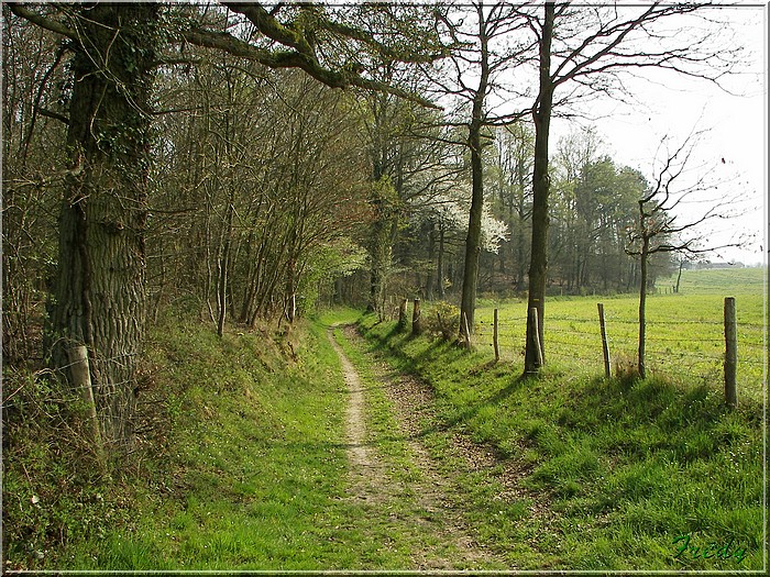 1er jour d'été, La Gaudrée 20070414_111