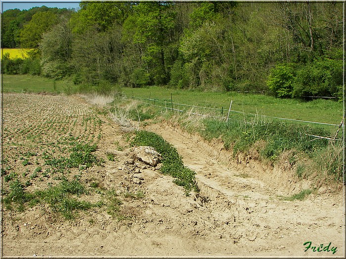 La Vallée Bance 20070422_048