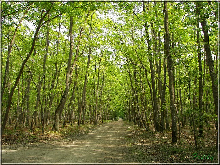 Breux sur Avre 20070427_092