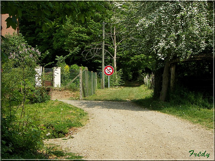 Ry, sur les traces de Madame Bovary 20070429_014