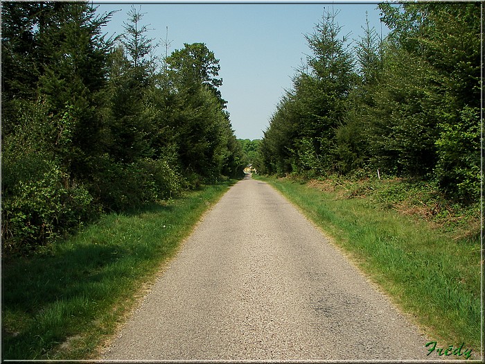 Ry, sur les traces de Madame Bovary 20070429_027