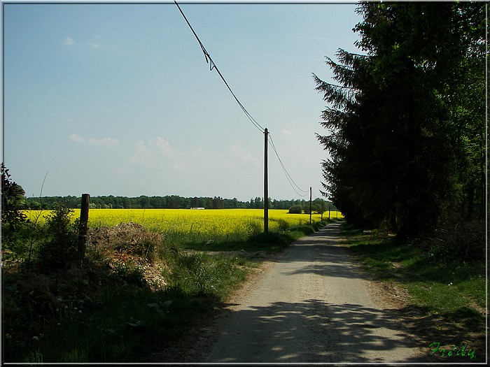 Ry, sur les traces de Madame Bovary 20070429_029