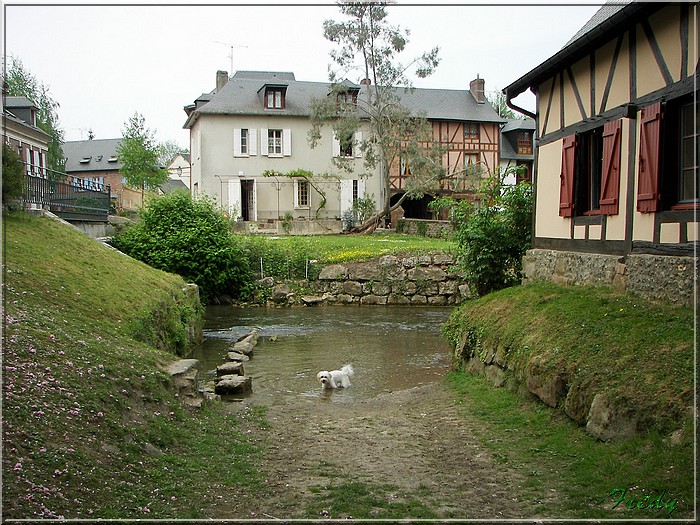 Ry, sur les traces de Madame Bovary 20070429_089