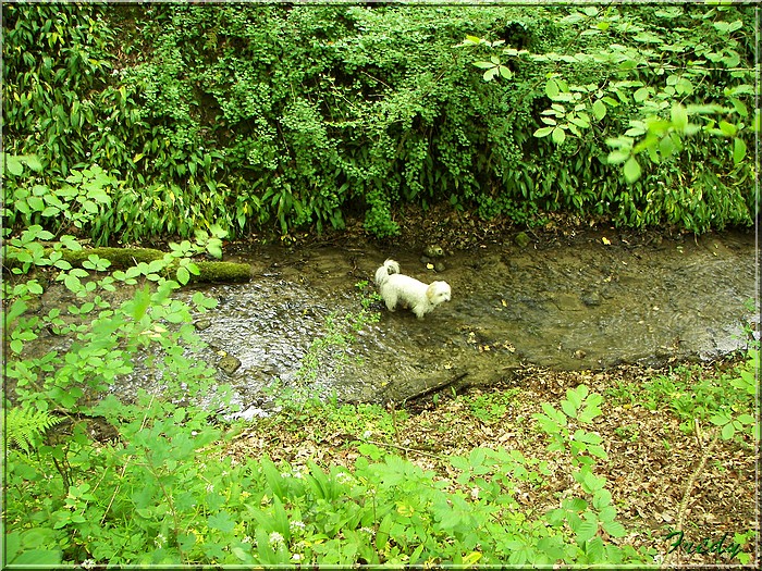 Au fil de Becdal 20070504_082