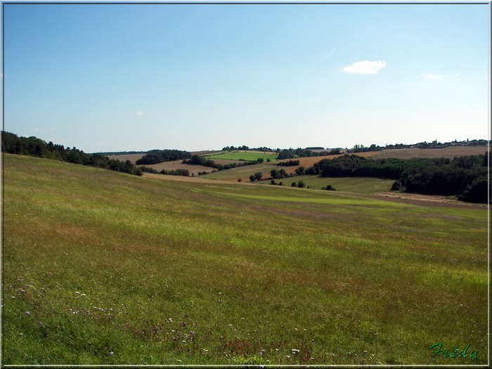 Autour de Buchelay 20070714_065