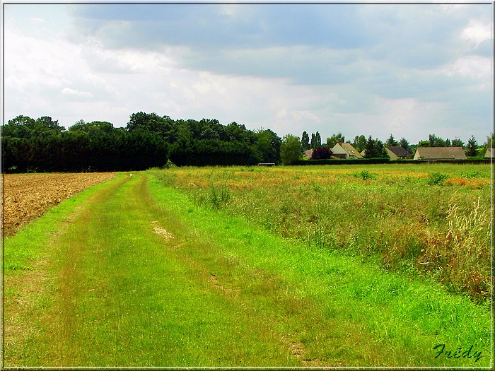 Circuit des Moissonneurs 20070719_037