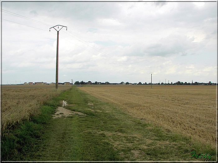 Circuit des Moissonneurs 20070719_053