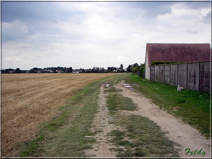 Circuit des Moissonneurs 20070719_091