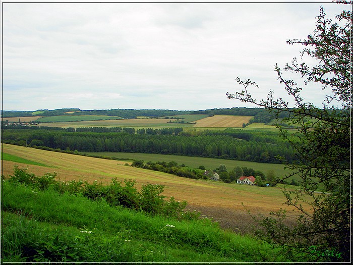 Les coteaux de Fourges 20070728_127