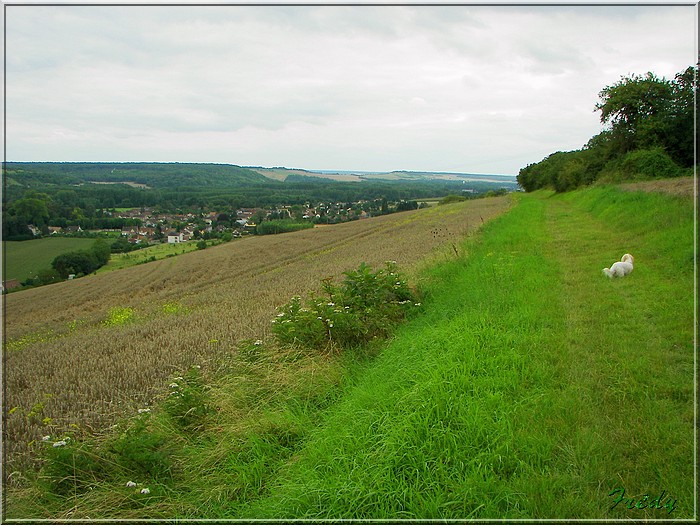 Les coteaux de Fourges 20070728_133