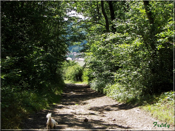 Cailly sur Eure 20070730_055