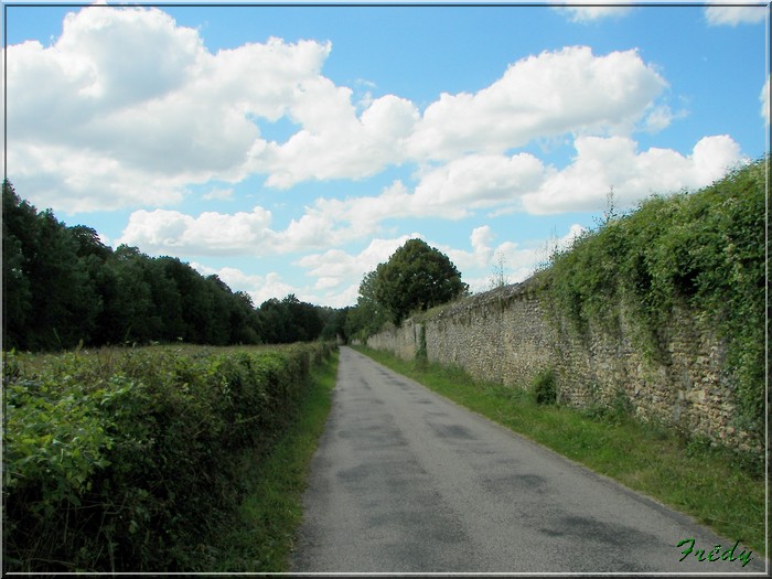 Cailly sur Eure 20070730_070