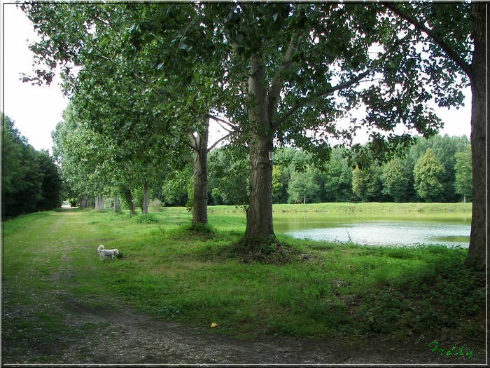 Cailly sur Eure 20070730_079