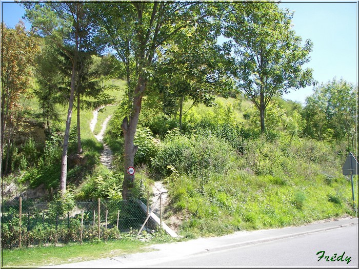 Dans la Forêt de Dreux 20070804_003