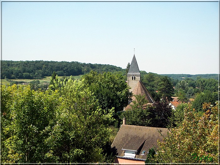 Dans la Forêt de Dreux 20070804_006